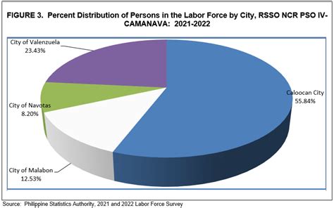 psa camanava|2021 and 2022 Provincial Labor Market Statistics: National .